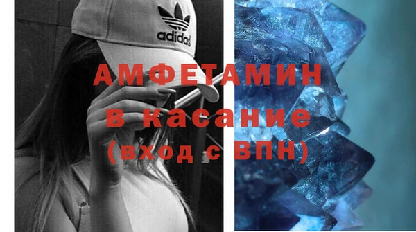 прущие грибы Верхний Тагил