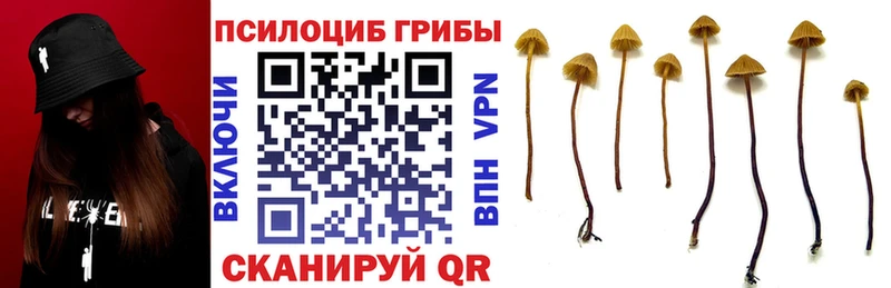 KRAKEN ТОР  Гагарин  Галлюциногенные грибы Cubensis 